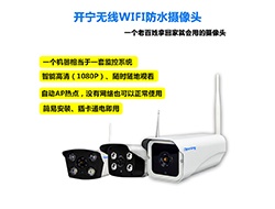 室外无线WIFI网络摄像机系列2 （点击进入大图）