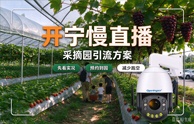 开宁采摘园引流慢直播方案
