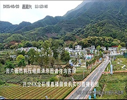 开宁4K慢直播聚焦温厝村：云端镜头绘就大湾区乡村振兴新图景