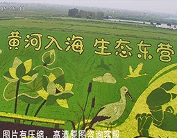 开宁慢直播赋能东营黄河入海口文旅传播实践