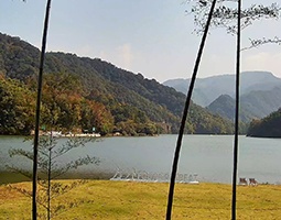 杭州富春方外酒店使用慢直播摄像机进行慢直播