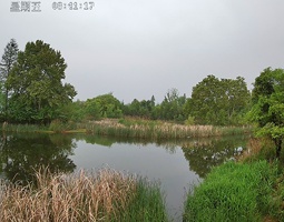 湖北省武汉市的东湖风景区观鸟屋使用开宁慢直播摄像机实时直播