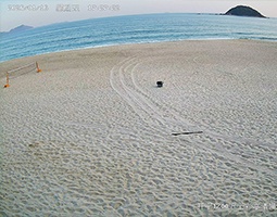 开宁1200万高清慢直播智能球机深圳西涌沙滩慢直播成功案例